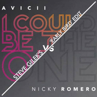 Avicii & Nicky Romero